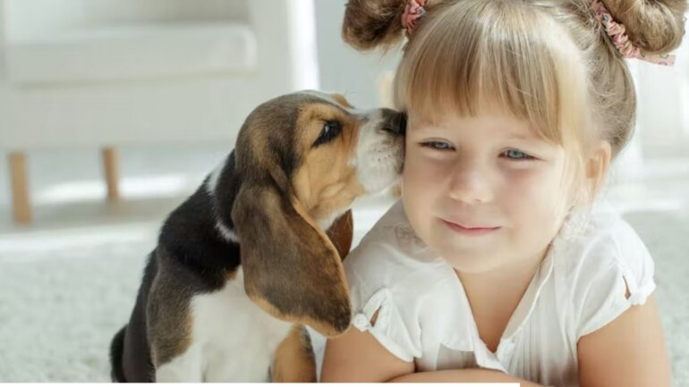 Μπορεί η έξαρση της ηπατίτιδας στα παιδιά να συνδέεται με τους κατοικίδιους σκύλους;